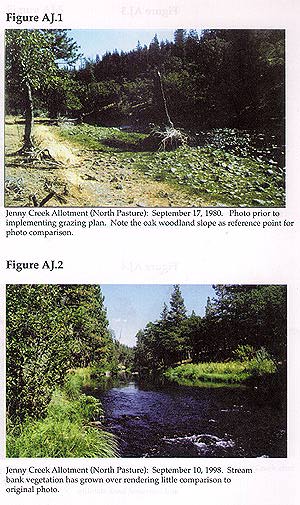 Decieving Photos 1 .jpg