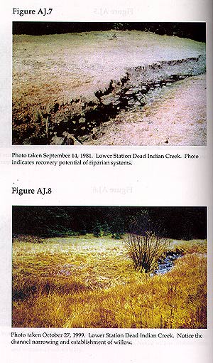 Decieving Photos 4 .jpg