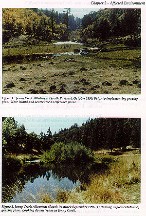 Decieving Photos 5 .jpg