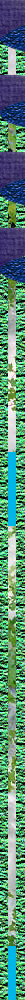 Pacific West com, Oregon visitors vacation links