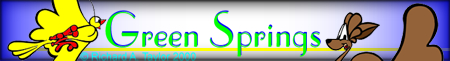 Banner 1 GSP.jpg