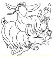 Animated Cartoons Cartoon Merchandise toy invest Lou Lou and Louane Lama