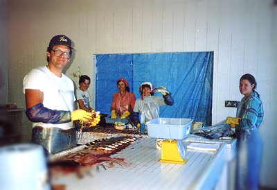 Oregon State Trout Farms Stream Stocking Trout Hatcheries Stream Fishing