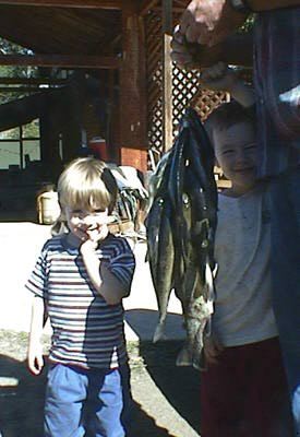 Oregon State Trout Farms Stream Stocking Trout Hatcheries Stream Fishing