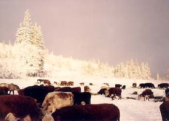 Jackson County Oregon Business Medford Business, News and Jobs, Medford