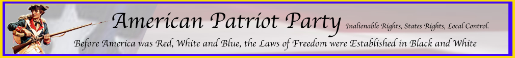 American Patriot Party National Political Campaign Election Issues