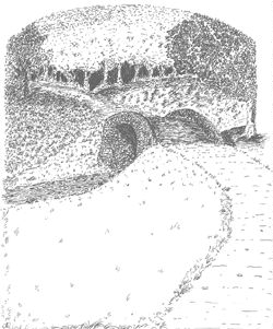 Ships bw bridge.jpg