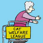 Chris Madden Cartoons and Comics
