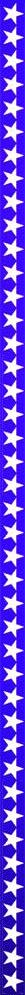 American Patriot Party Articles, About, News, Commentaries, Opinions